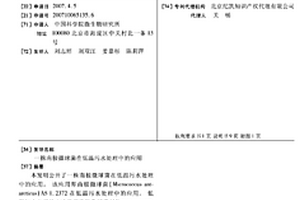 一株南極微球菌在低溫污水處理中的應用