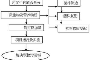 采用微生物酶及營養物質解決顆粒污泥鈣化的方法