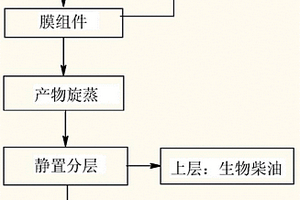 雜化催化膜反應器及用其制備生物柴油的方法