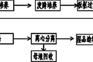 黑曲霉發酵生產葡萄糖酸鈣的方法