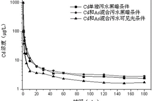陰離子粘土吸附劑及其制備方法和應用