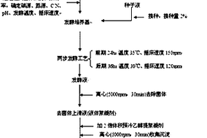 微生物絮凝劑的兩步發酵生產方法