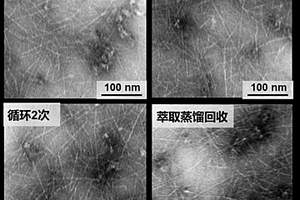 基于直接循環與萃取回收雙策略循環TEMPO的CNFs生產工藝