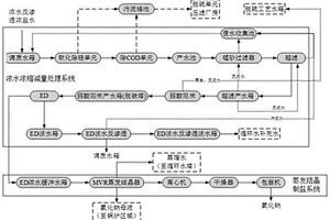 濃水處理系統