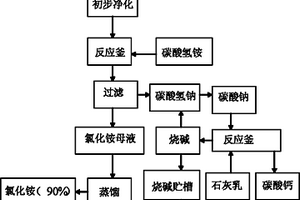 廢鹽水凈化技術