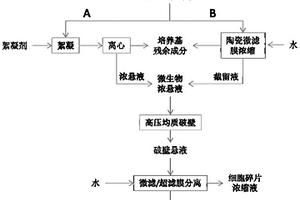 N-乙酰氨基葡萄糖脫乙酰酶的提取方法