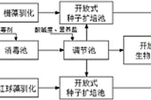 利用復合微藻高效凈化豬場沼液的方法