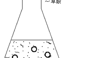 生物聯合光催化復合降解液態體系及其制備方法