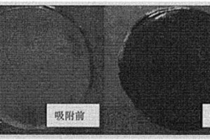 含有納米粘土的高吸附性環氧樹脂及其制備方法和應用