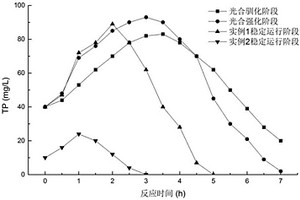 強化生物除磷方法