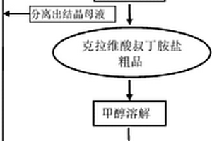 從結晶母液中回收克拉維酸叔丁胺鹽的方法