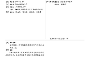 亞硝化菌-厭氧氨氧化菌固定化與中溫污水處理工藝