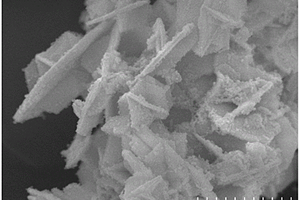 核殼結構BiO<sub>2-x</sub>@TiO<sub>2</sub>異質結光催化材料及其制備方法與應用