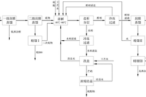 雷柏法生產BDO裝置的廢液蒸后脫鹽連續化回收利用工藝