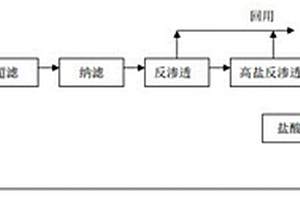 廢鹽水的處理方法及裝置
