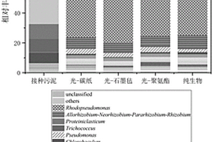 B摻雜的g-C<Sub>3</Sub>N<Sub>4</Sub>/BiVO<Sub>4</Sub>光催化劑及其制備與應用
