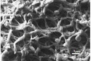 重金屬污水處理用多孔生物質微球及其制備方法