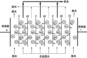 采用定向驅動技術防止極水系統結垢的電滲析裝置