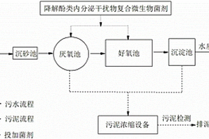 降解酚類內分泌干擾物的復合微生物制劑及制備方法
