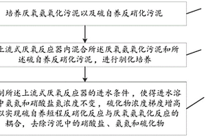 硫自養短程反硝化耦合厭氧氨氧化的脫氨方法和系統