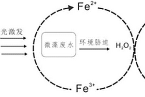 基于微藻的光助芬頓體系處理水體有機污染物的方法