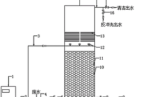 臭氧催化氧化反應器及其污水處理方法