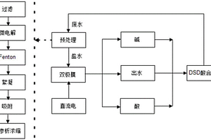 改进的DSD酸的生产工艺
