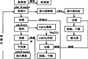 從蝦殼中綜合制備生物活性物質的環保方法