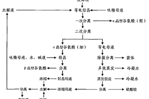 结合转晶的谷氨酸闭路循环提取工艺