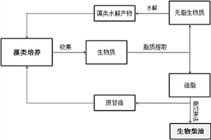 利用廢物回收技術制備微藻培養基的方法