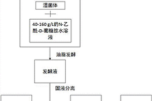 N?乙酰?D?葡糖胺綜合利用的方法