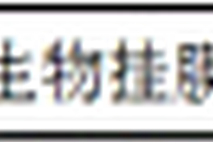 快速啟動全程自養脫氮的方法
