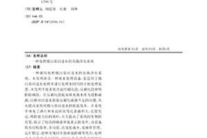 處理微污染河道水的旁路凈化系統