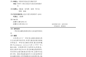 好氧反硝化細菌及其在污水處理中的應用