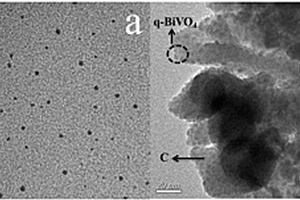 磁性BiVO4量子點復合光催化劑及制備方法和用途