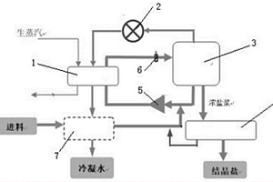 抗污堵、自潔凈MVR蒸發濃縮系統