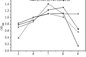 用于船舶修造污水處理的固定化微生物菌劑及其制備方法和應用