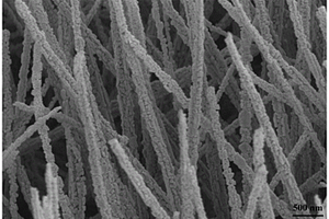 Janus Cu(OH)<sub>2</sub>@Cu<sub>2</sub>O/Cu網及其制備方法、應用