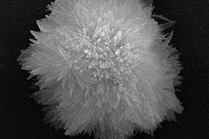 生物模板法制備具有緩釋除磷功能鎂鋁鹽材料方法及應用