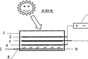 太陽能光電催化氧化水中有機物的裝置