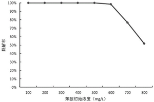 一株高效降解苯胺的淺黃微桿菌及其應用