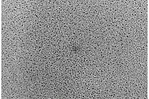 熒光碳量子點在檢測環烷酸中的應用及環烷酸的檢測方法