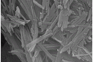 Cu-凹凸棒石-NH<sub>2</sub>復合材料的制備方法及其在吸附放射性水體中碘離子中的應用