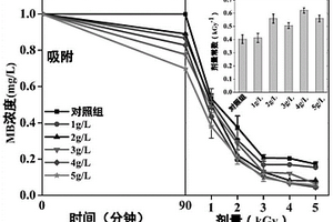 催化劑協同電離輻照降解水中有機污染物的方法