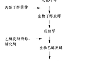 生物丁醇聯合發酵生物乙醇的生產方法