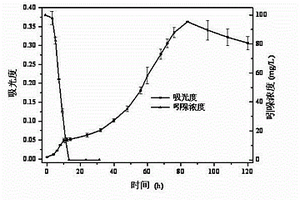 一株好氧降解吲哚的伯克霍爾德菌及其應用
