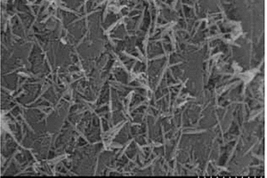 Mn/Nano-G | foam-Ni/Pd復合電極及其制備方法
