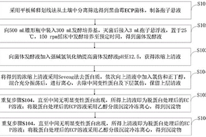 黑曲霉、胞外分泌產物及應用