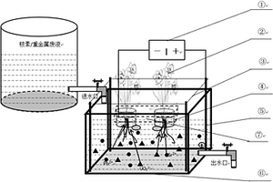 低壓電場-植物去除水體放射性核素/重金屬的方法及系統