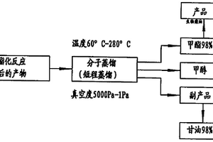 直接利用分子蒸餾技術生產生物柴油的方法